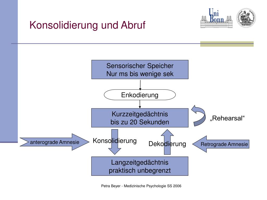 PPT Gedächtnis / Gedächtnismodelle Störungen der