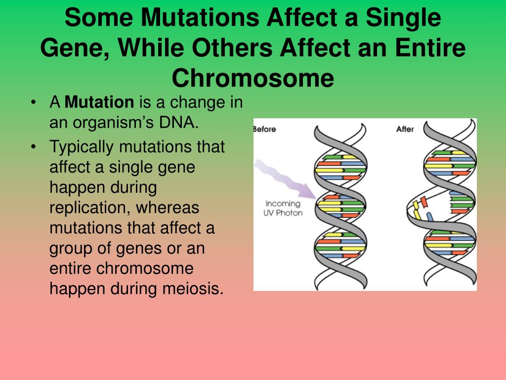 PPT Chapter 8 From DNA to Protein 8.1 Identifying DNA as the