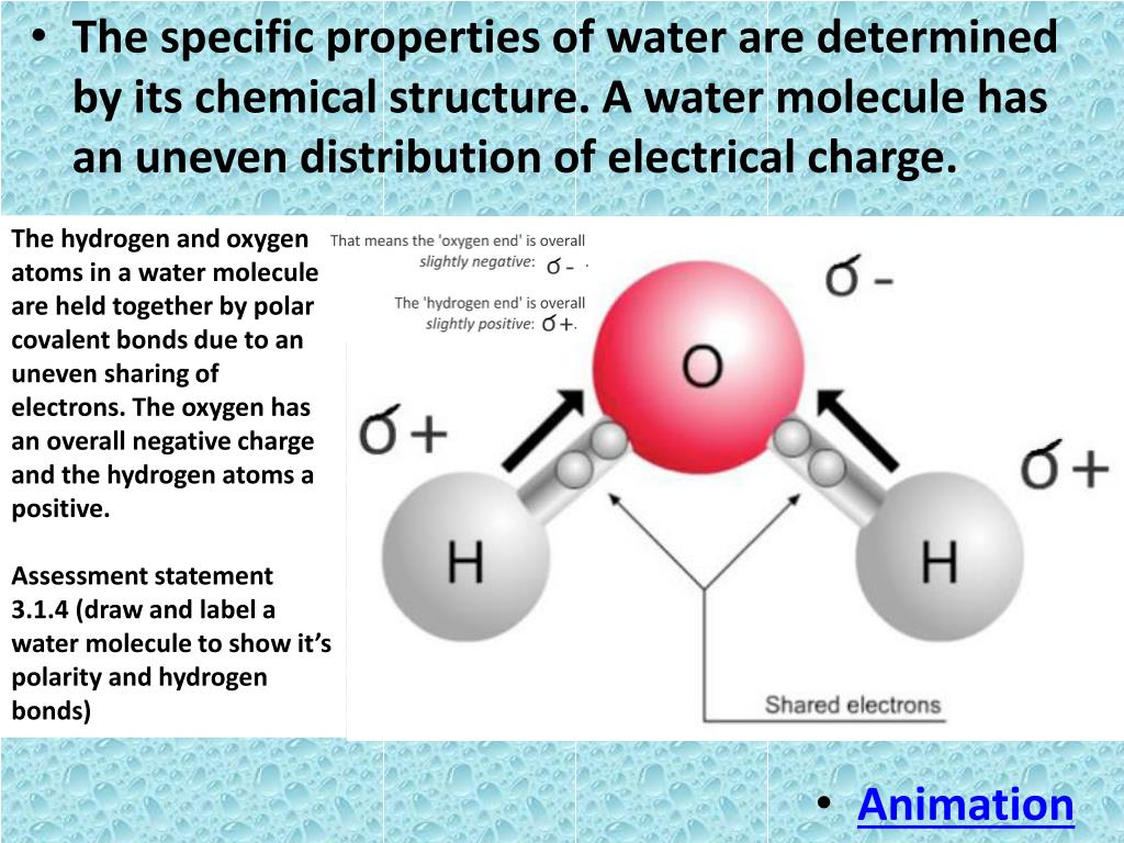 PPT Chemistry of Life Water The Primary Molecule of Life PowerPoint