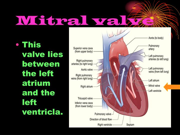 PPT The Human Heart PowerPoint Presentation ID5427081