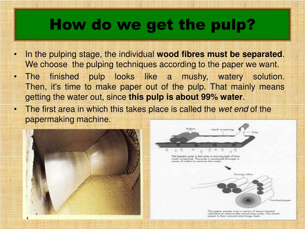 PPT PAPERMAKING PowerPoint Presentation, free download ID5430162