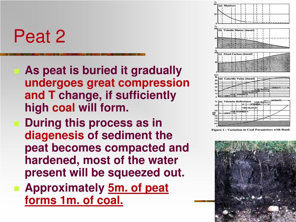 PPT Coal PowerPoint Presentation, free download ID5430944
