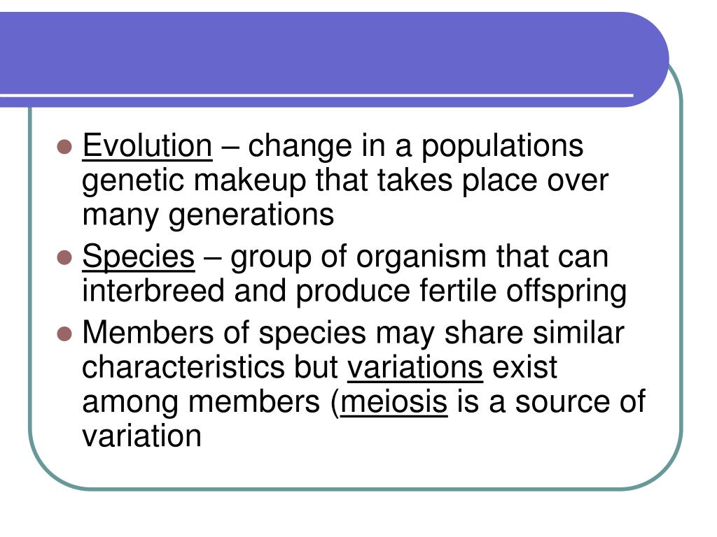 PPT Natural Selection & Evidence for Evolution PowerPoint