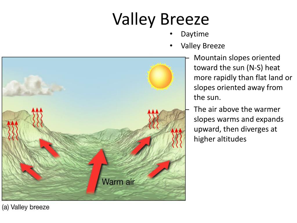 PPT Wind Circulations, Fronts, & MidLatitude Cyclones PowerPoint