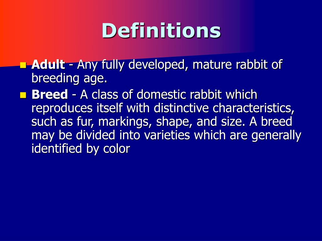 PPT Rabbits PowerPoint Presentation, free download ID5438492