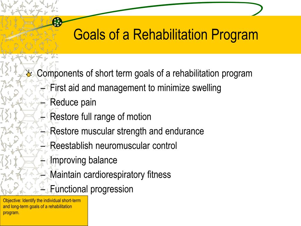 PPT Basics of Rehabilitation PowerPoint Presentation, free download