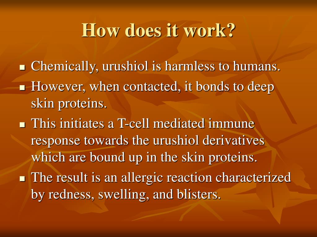 PPT Urushiol PowerPoint Presentation, free download ID5439810