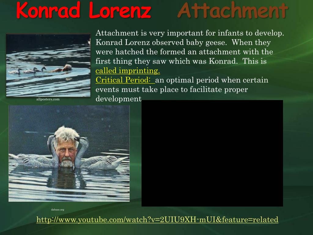 PPT Unit 9 Development Infancy and Childhood PowerPoint Presentation