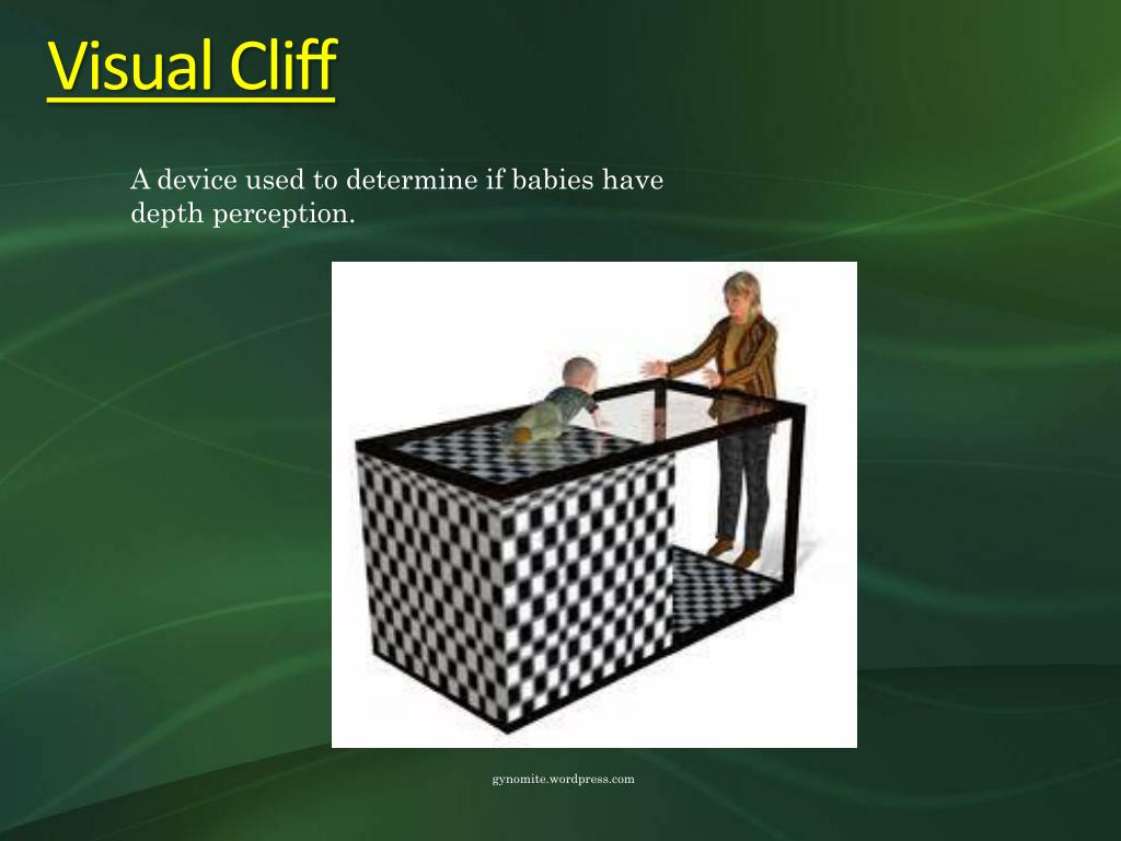 PPT Unit 9 Development Infancy and Childhood PowerPoint Presentation