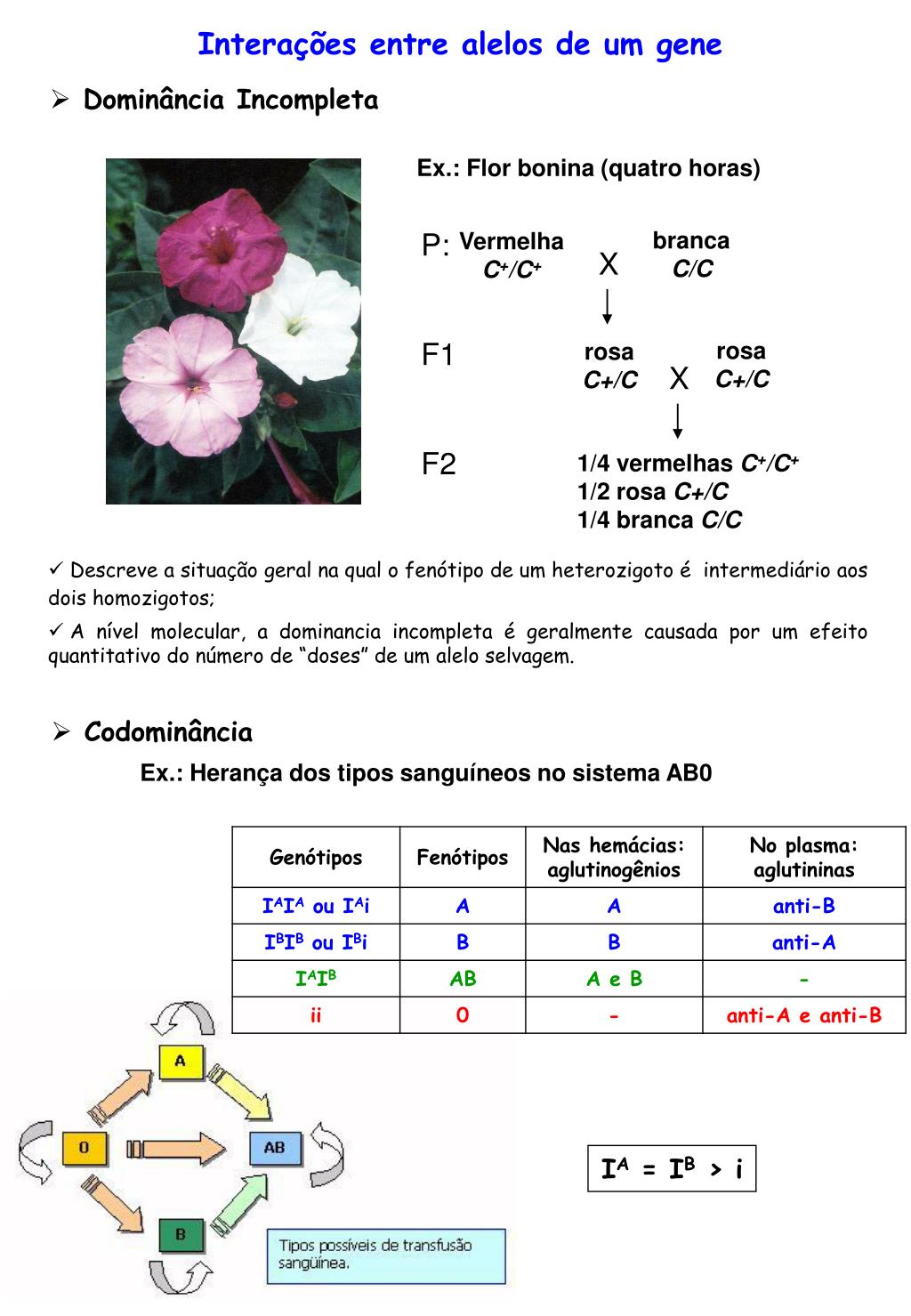 PPT Dominância PowerPoint Presentation, free download ID