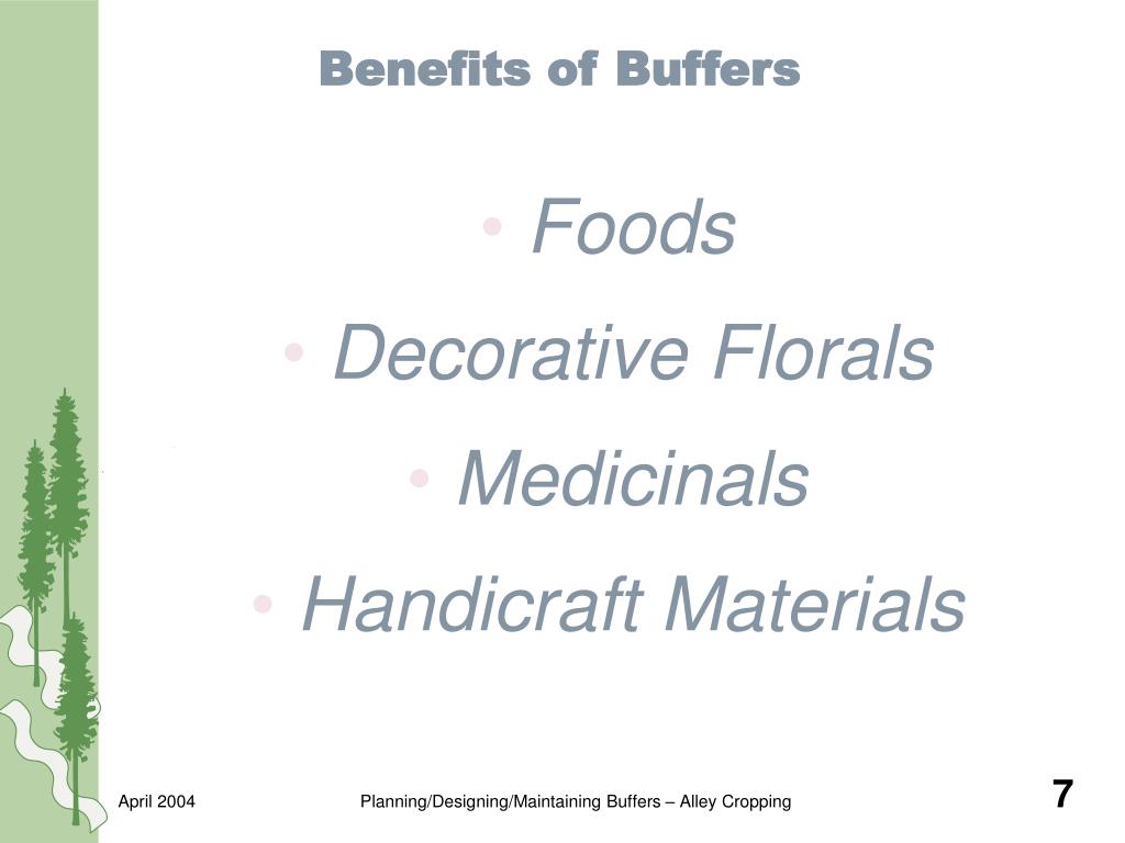 PPT Productive Conservation PowerPoint Presentation, free download