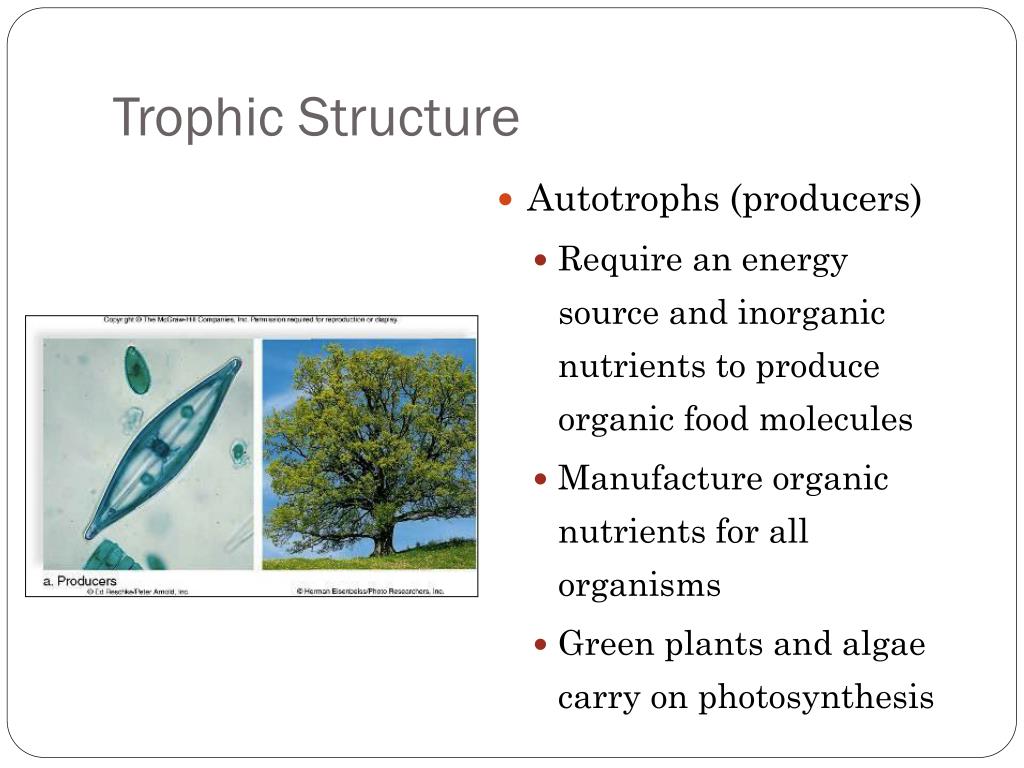 PPT - Community and Ecosystem Ecology PowerPoint Presentation, free