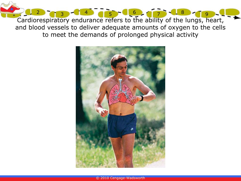 PPT Chapter 6 Cardiorespiratory Endurance PowerPoint Presentation