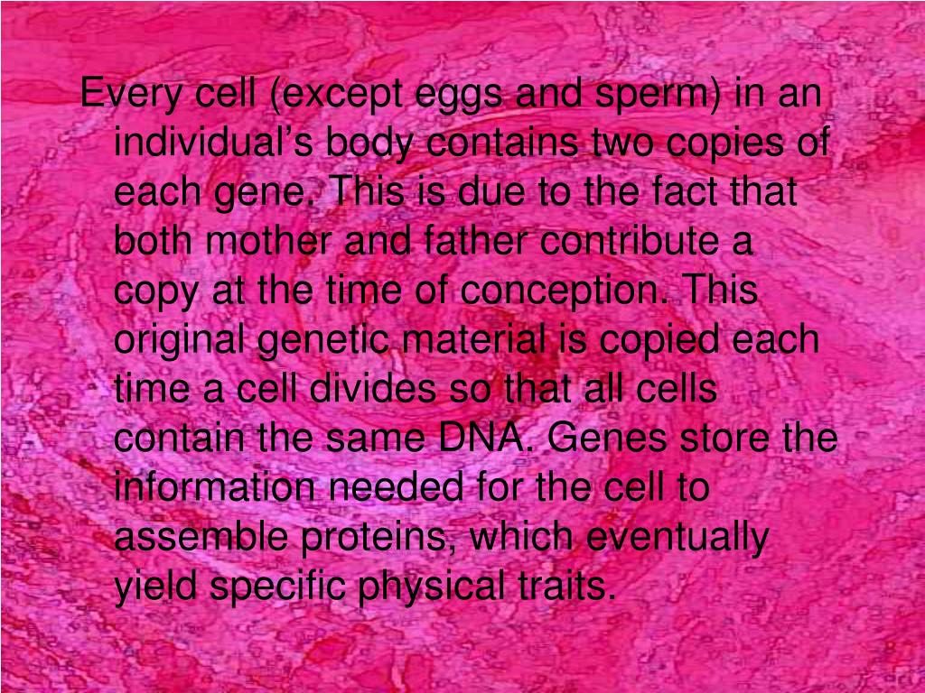 PPT Egg Production PowerPoint Presentation, free download ID5465396