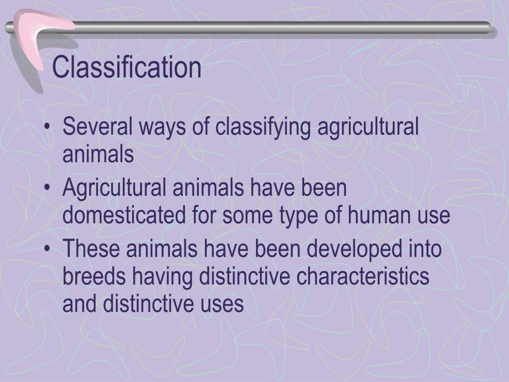 PPT Classification of Agricultural Animals PowerPoint Presentation