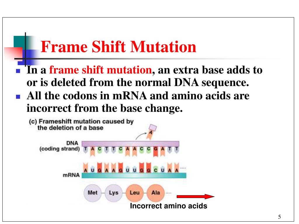PPT Chapter 22 Nucleic Acids and Protein Synthesis PowerPoint