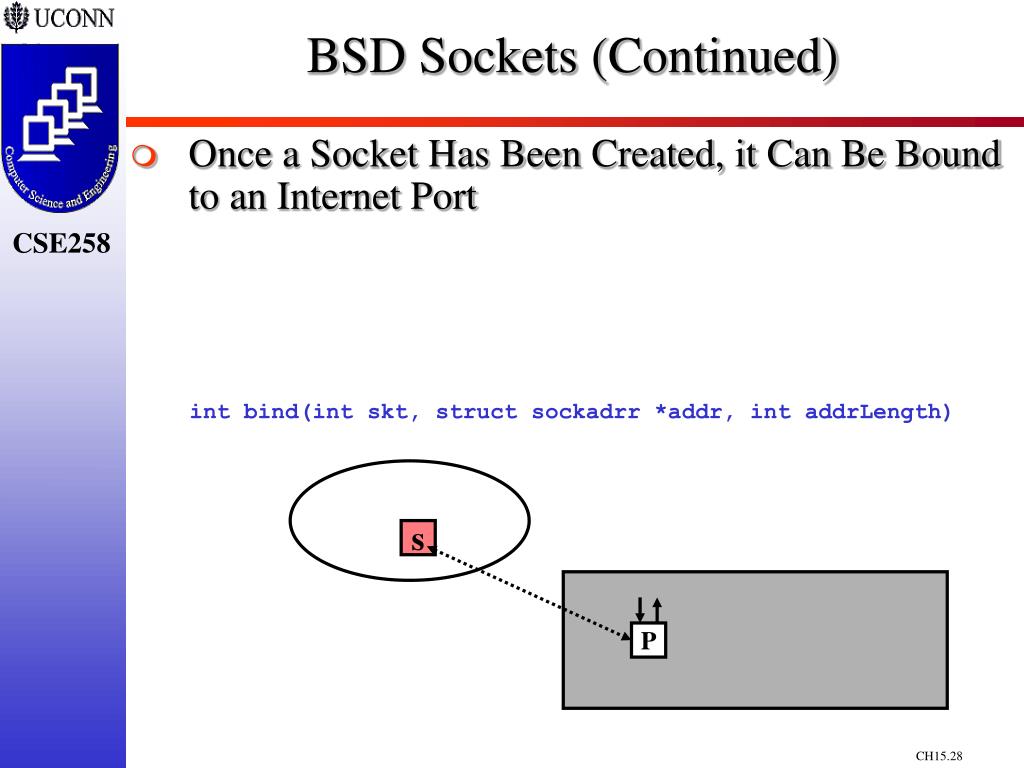 PPT Chapter 15 Networks PowerPoint Presentation, free download ID