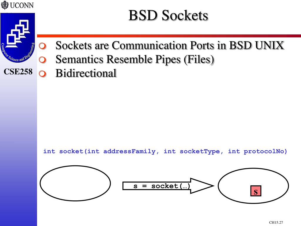 PPT Chapter 15 Networks PowerPoint Presentation, free download ID