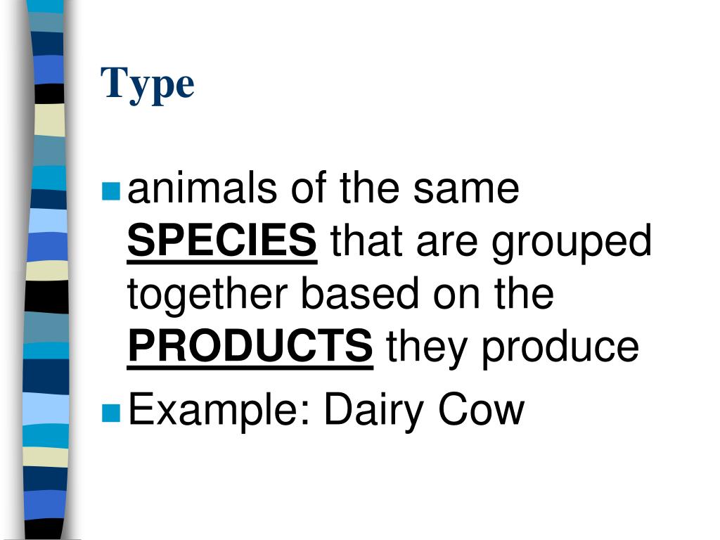 PPT Animal Contributions to Human Needs PowerPoint Presentation, free