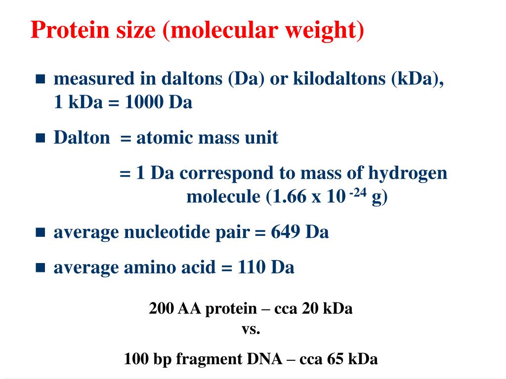 PPT SEPARATION AND DETECTION OF PROTEINS part II Vlasta Němcová