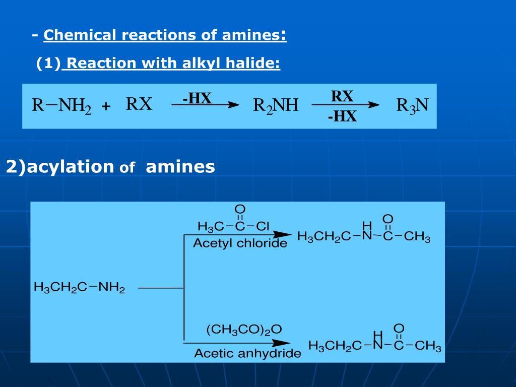 PPT Amines PowerPoint Presentation, free download ID5478768