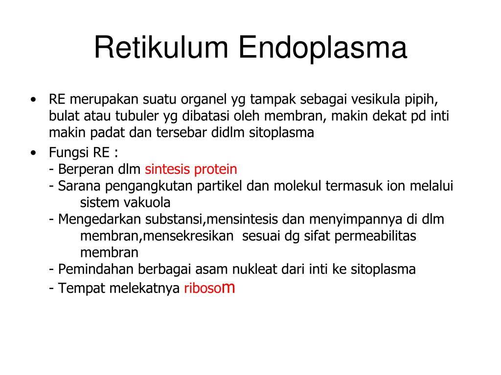 PPT KOMPONEN SEL PowerPoint Presentation ID5479652