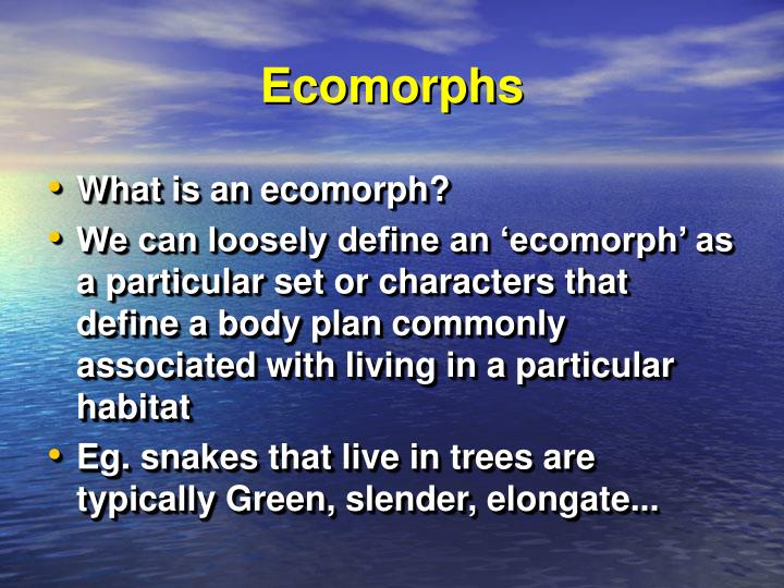 PPT CHAPTER 18 Interactions Among Species PowerPoint Presentation