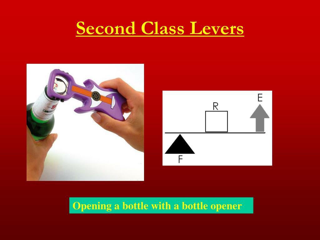 PPT Biomechanics in Human Body PowerPoint Presentation, free download