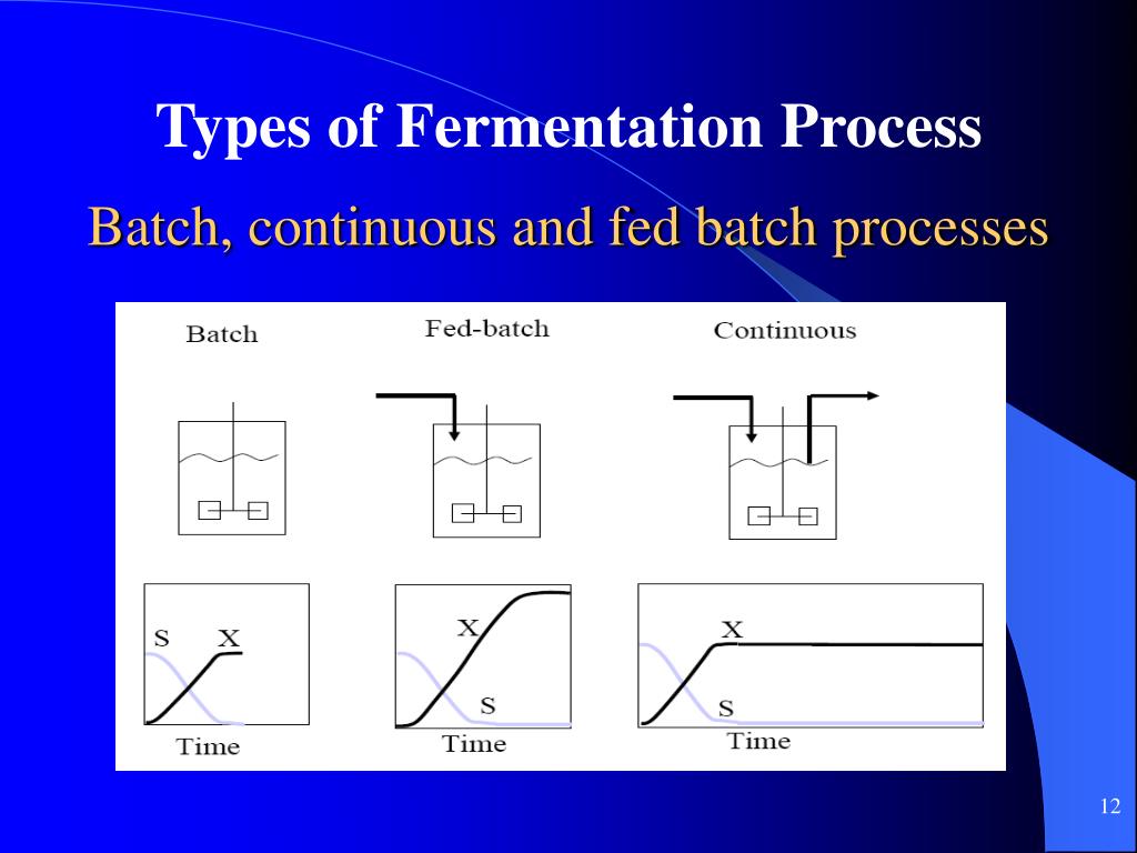 PPT Chapter 4 Fermentation Monitoring PowerPoint Presentation, free