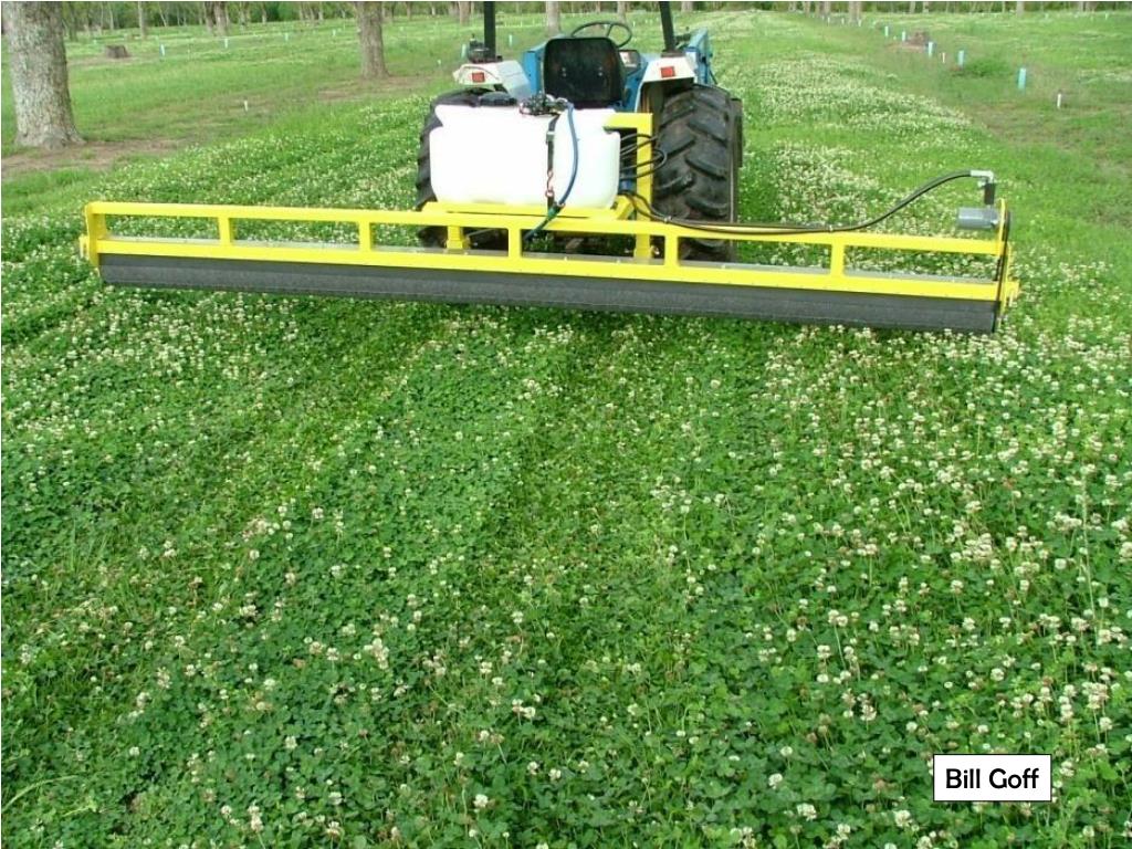 PPT Reducing Fertilizer Costs and Improving Orchard Floor Management