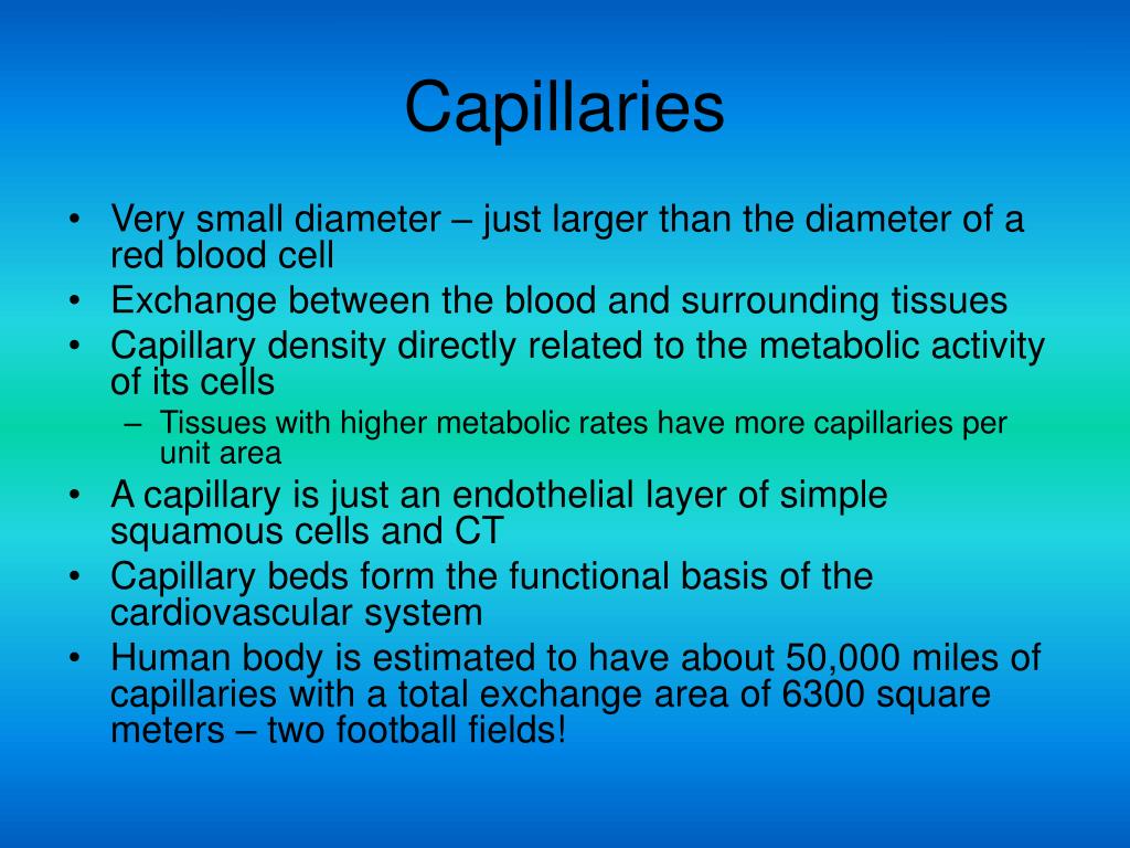 PPT Cardiovascular System PowerPoint Presentation, free download ID