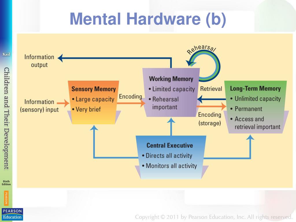 PPT Chapter 6 PowerPoint Presentation, free download ID5494793