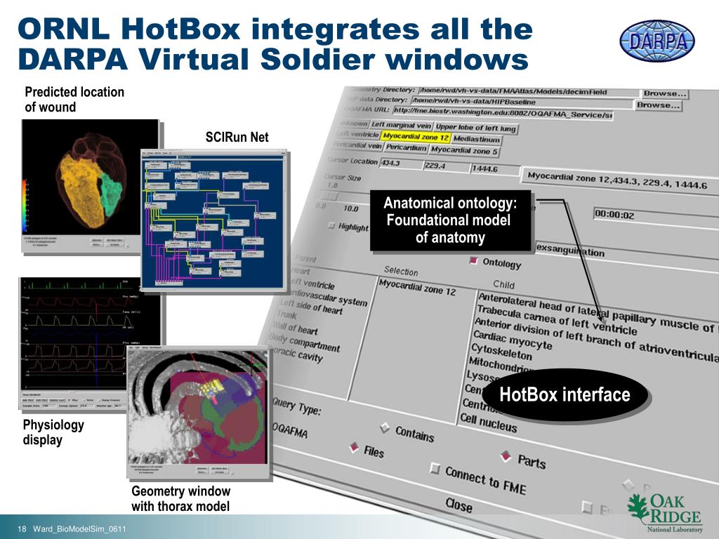 PPT Biomedical Modeling and Simulation PowerPoint Presentation, free