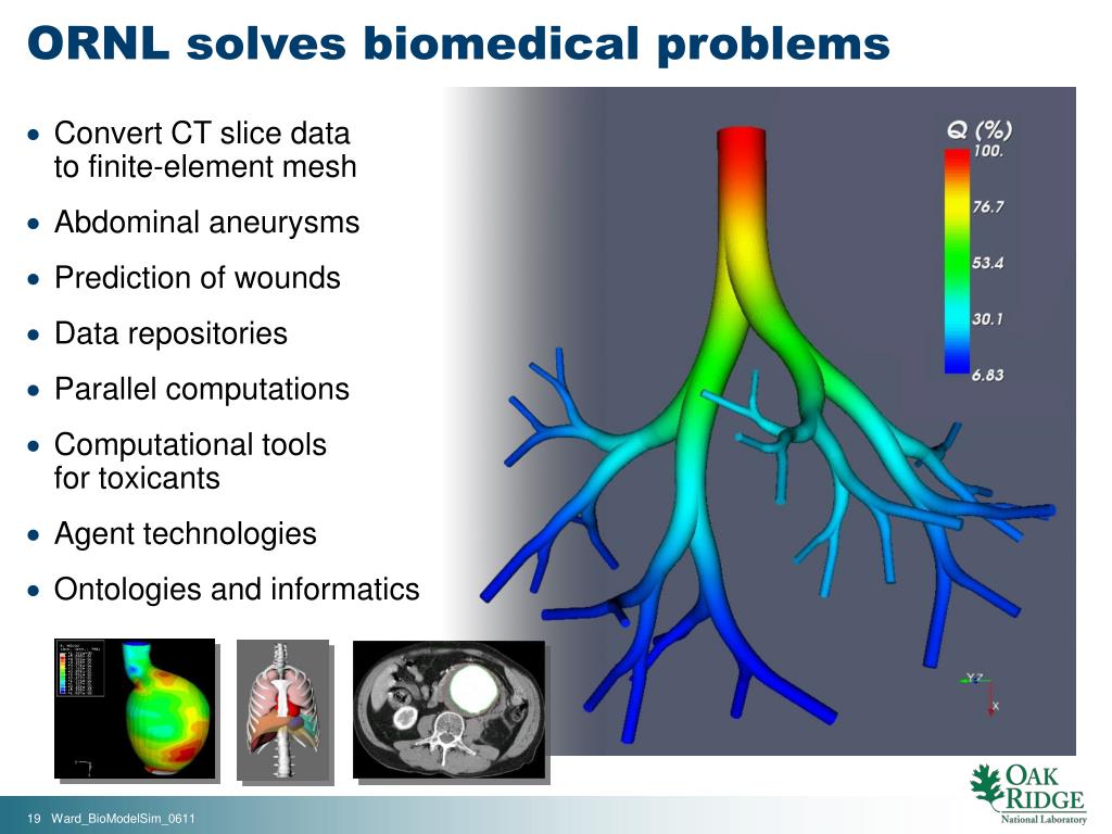 PPT Biomedical Modeling and Simulation PowerPoint Presentation, free