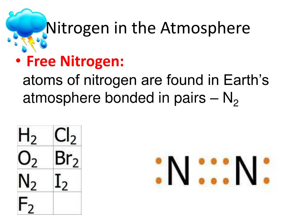 PPT Nitrogen Cycle PowerPoint Presentation, free download ID5497134