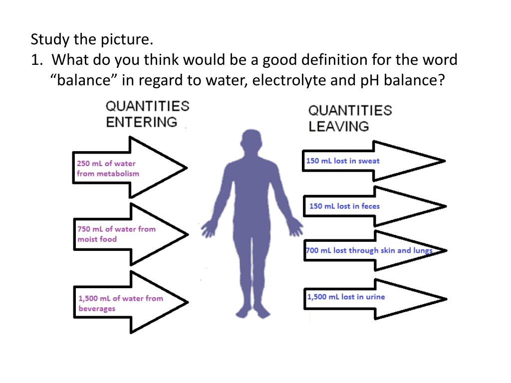 PPT Water, Electrolyte and pH BALANCE PowerPoint Presentation, free