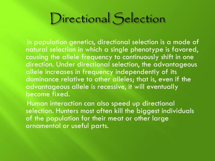 PPT Population PowerPoint Presentation ID5502410