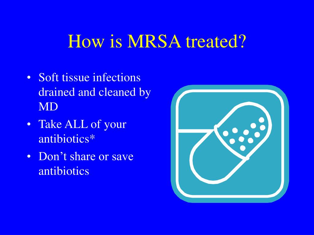 PPT MRSA Infections in Child Care Programs PowerPoint Presentation