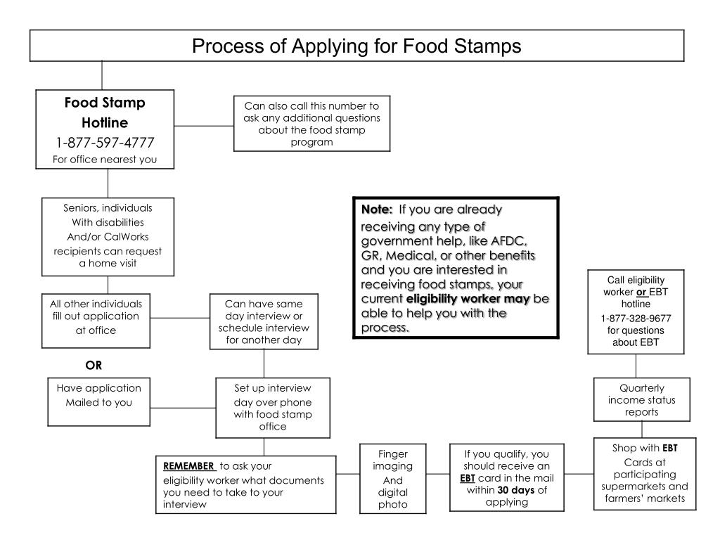 PPT How to apply for food stamps handout PowerPoint Presentation