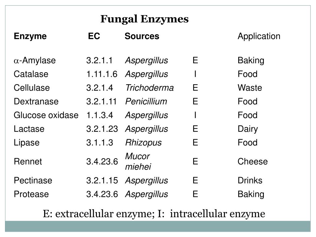 PPT Industrial enzyme production PowerPoint Presentation, free