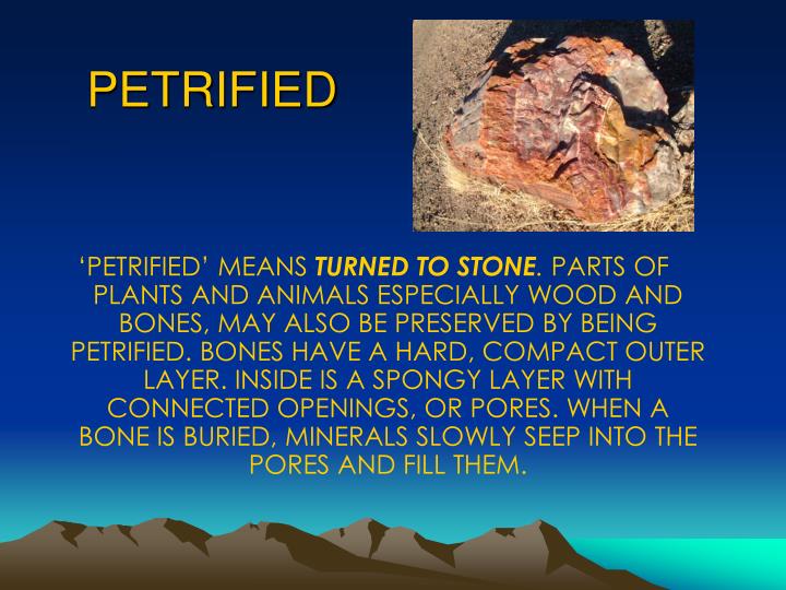PPT HOW FOSSILS FORM Science Grade 4 Ms.Marku Chapter 5 Earth
