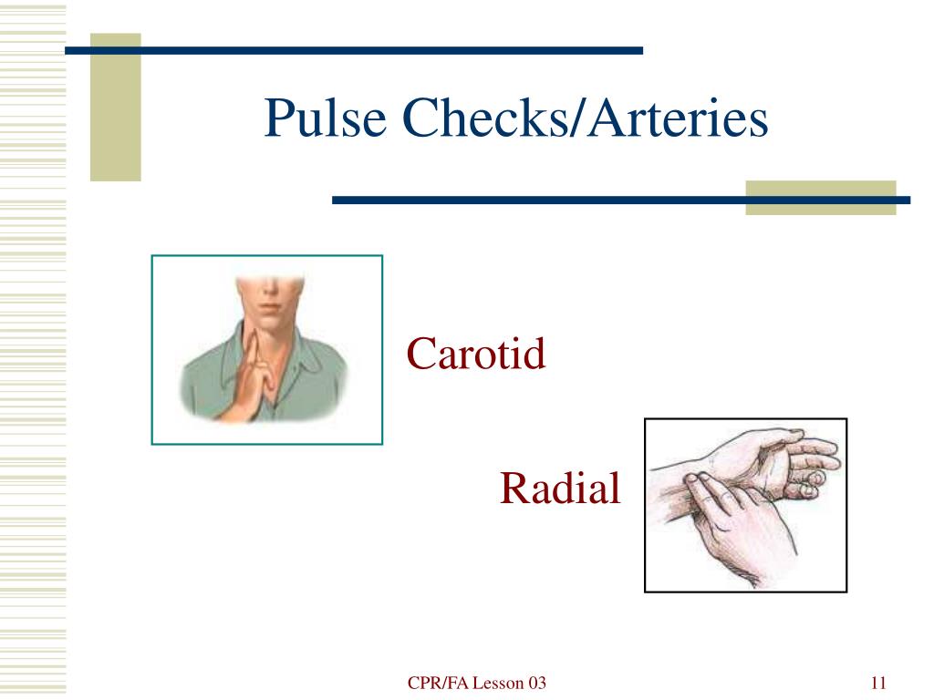 PPT CPR/First Aid PowerPoint Presentation, free download ID5507600