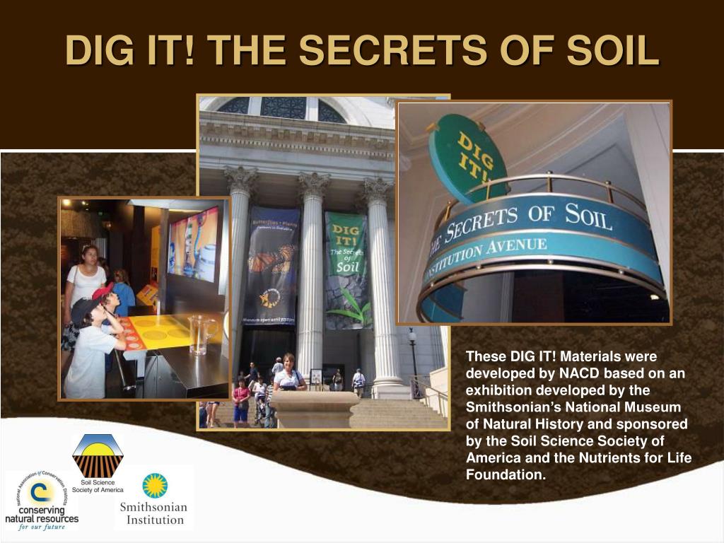 PPT DIG IT! THE SECRETS OF SOIL PowerPoint Presentation, free download ID5507791