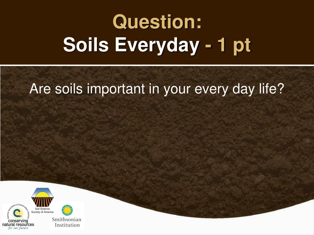 PPT DIG IT! THE SECRETS OF SOIL PowerPoint Presentation, free download ID5507791