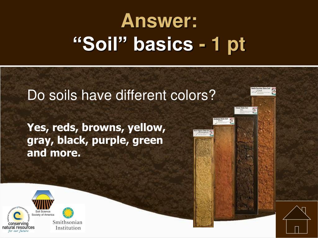 PPT DIG IT! THE SECRETS OF SOIL PowerPoint Presentation, free download ID5507791