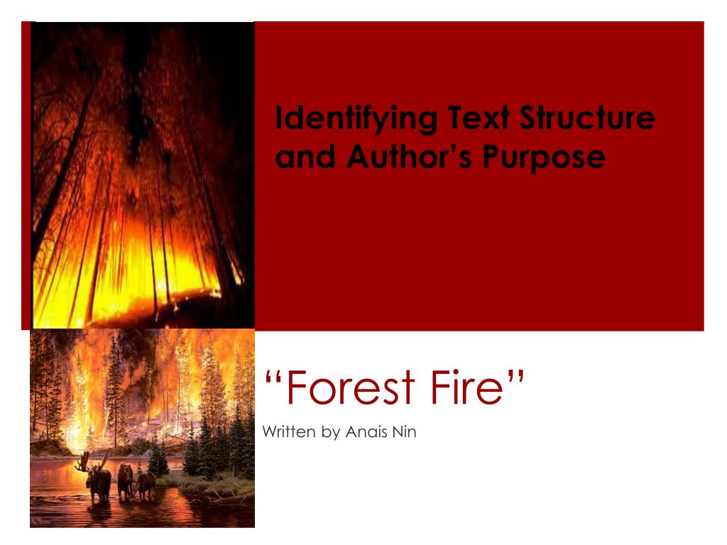 PPT “Forest Fire” PowerPoint Presentation, free download ID5508383