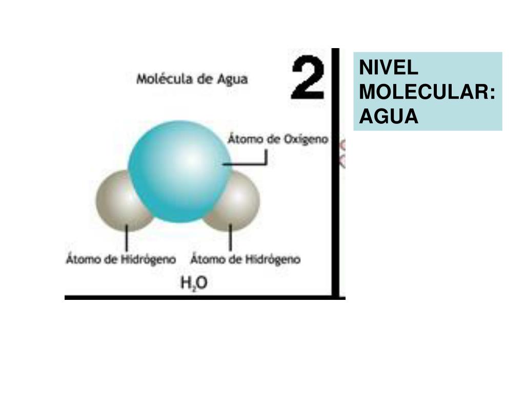 Estados De La Materia A Nivel Molecular Acerca de Materiales
