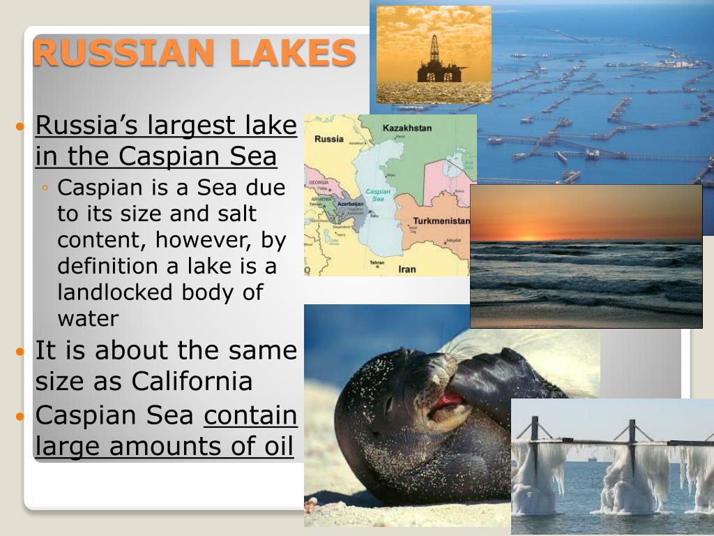 PPT RUSSIAN PHYSICAL GEOGRAPHY PowerPoint Presentation, free download
