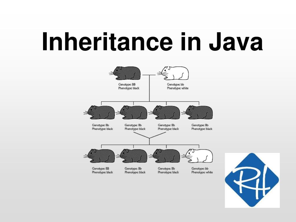 PPT Inheritance in Java PowerPoint Presentation, free download ID