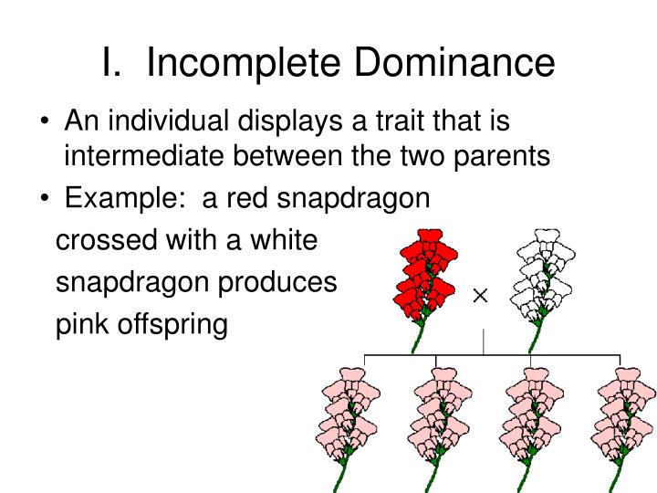 PPT Complex Patterns of Inheritance PowerPoint Presentation ID5527046
